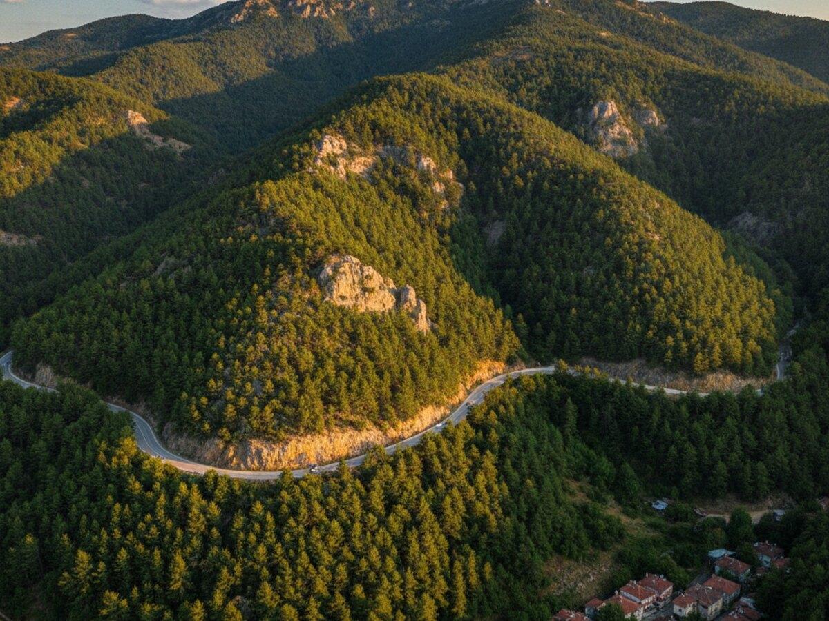 Bayramiç